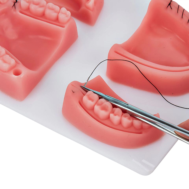 Kit de formation en silicone p - Medical Lab Kit avis et prix